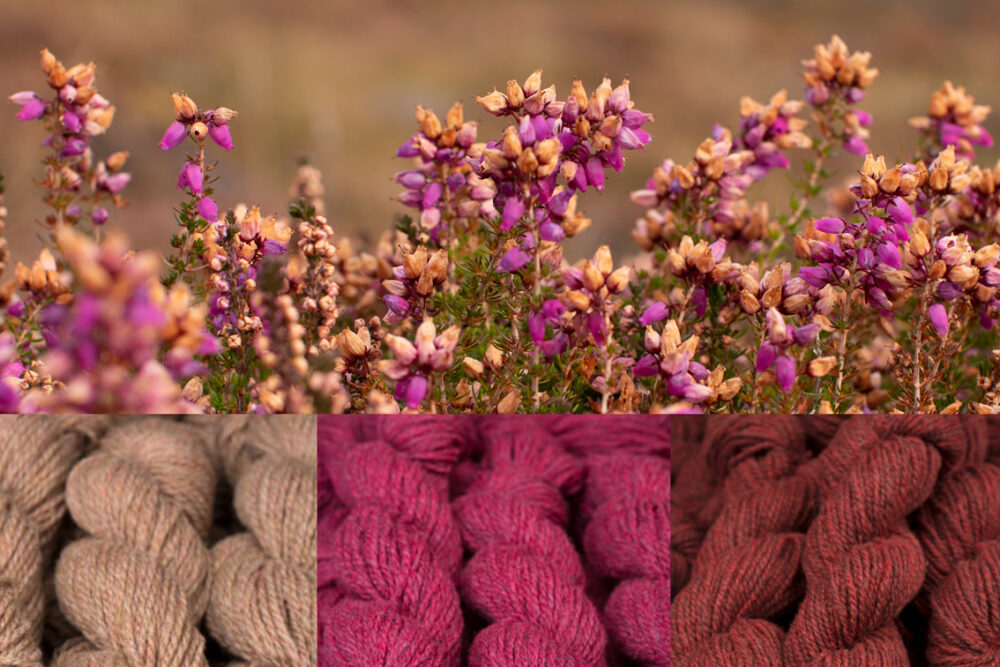 Virtual Yarns - Home of Alice Starmore Yarns and Designs