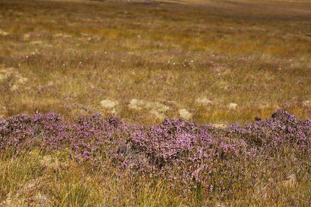 Landscape Photography by Jade Starmore