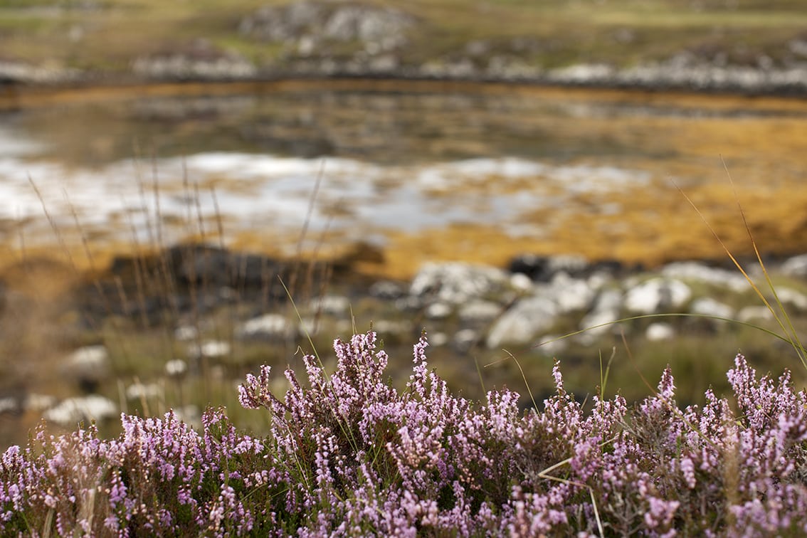 Landscape Photography by Jade Starmore