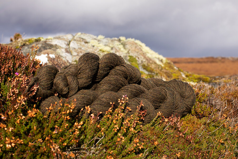Alice Starmore 2 Ply Hebridean hand knitting yarn in Glen