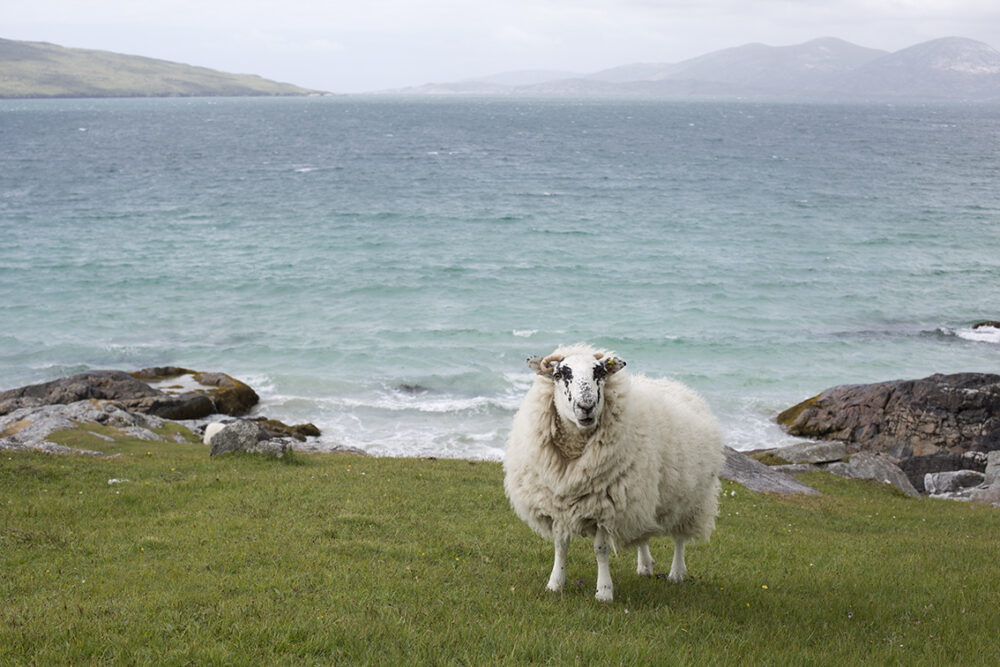 Landscape Photography by Jade Starmore