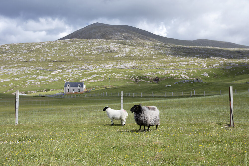 Landscape Photography by Jade Starmore