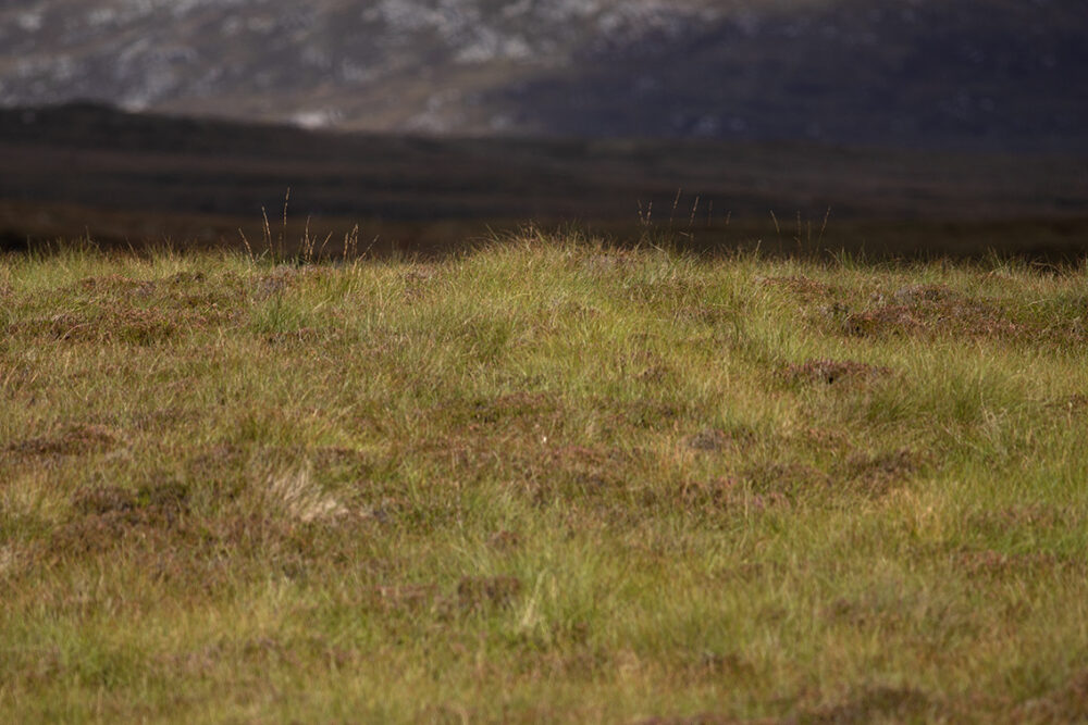 Landscape Photography by Jade Starmore