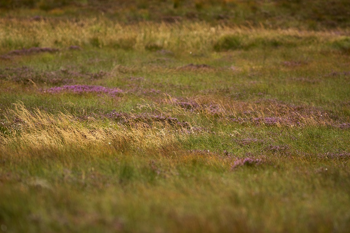 Landscape Photography by Jade Starmore