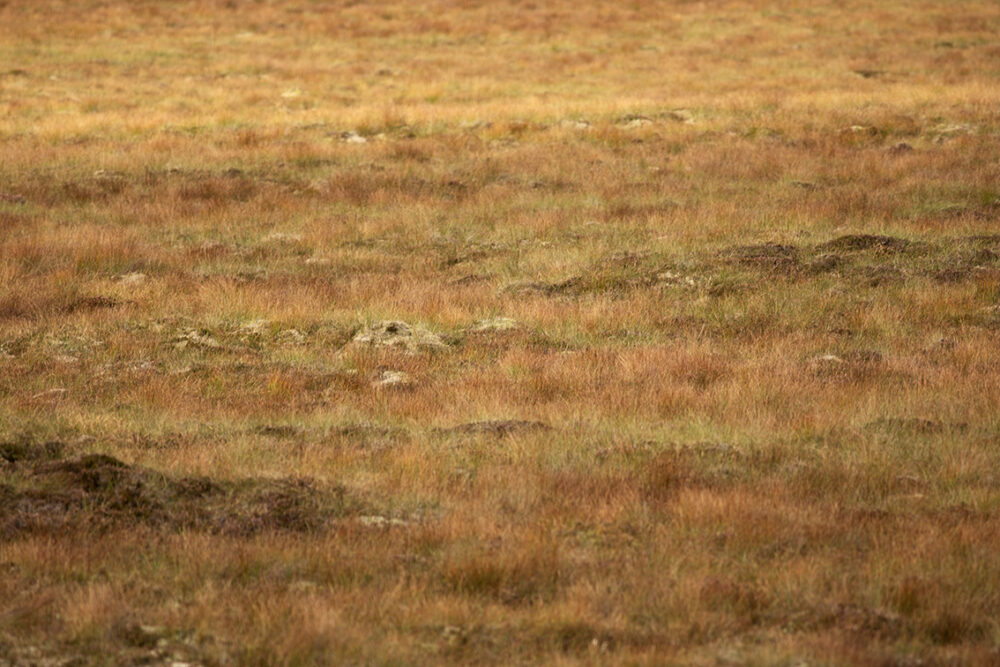 Landscape Photography by Jade Starmore