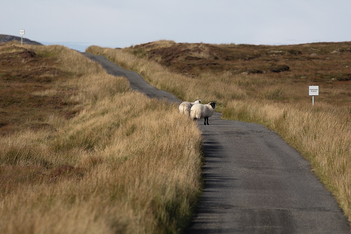 Landscape Photography by Jade Starmore