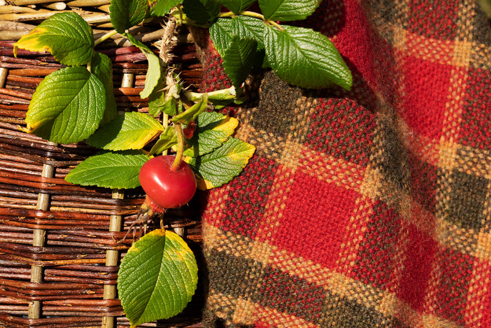 Virtual Yarns: Home of Alice Starmore Yarns And Designs