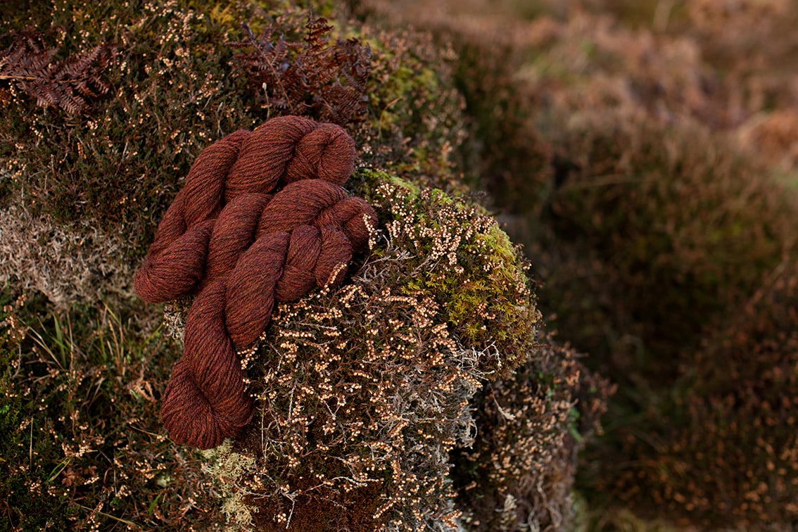 Alice Starmore 3 Ply Hebridean hand knitting yarn in Tormentil