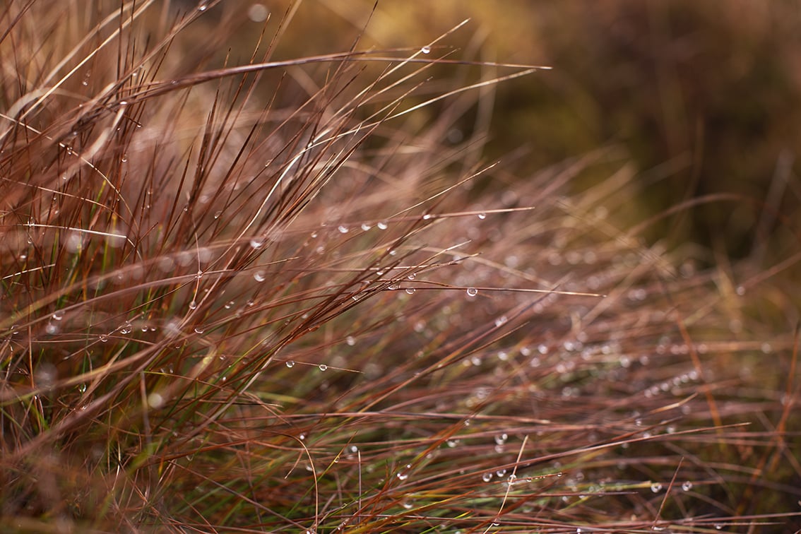 Landscape Photography by Jade Starmore