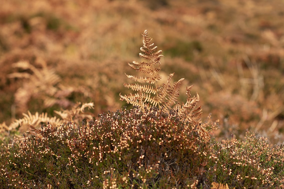 Landscape Photography by Jade Starmore