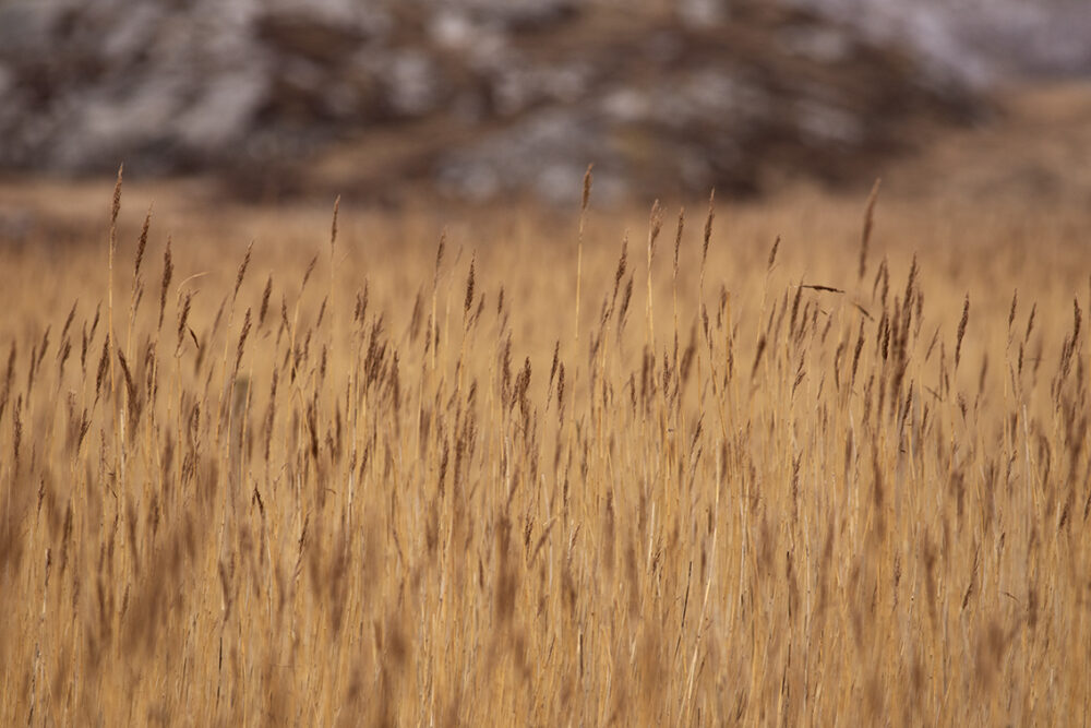 Landscape Photography by Jade Starmore