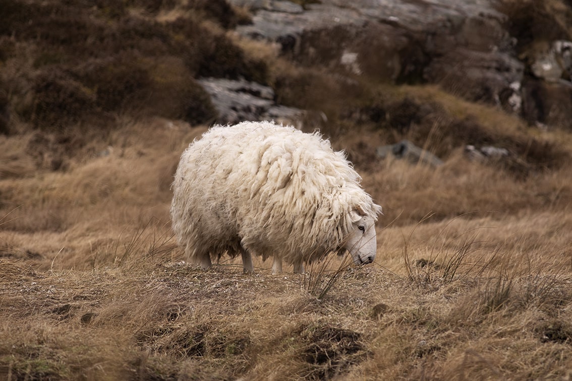 Landscape Photography by Jade Starmore