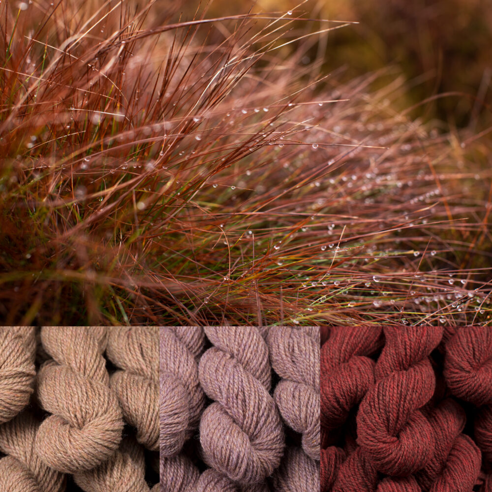 Virtual Yarns: Home of Alice Starmore Yarns And Designs