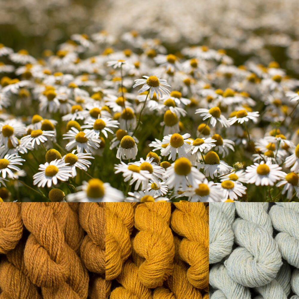 Virtual Yarns: Home of Alice Starmore Yarns And Designs