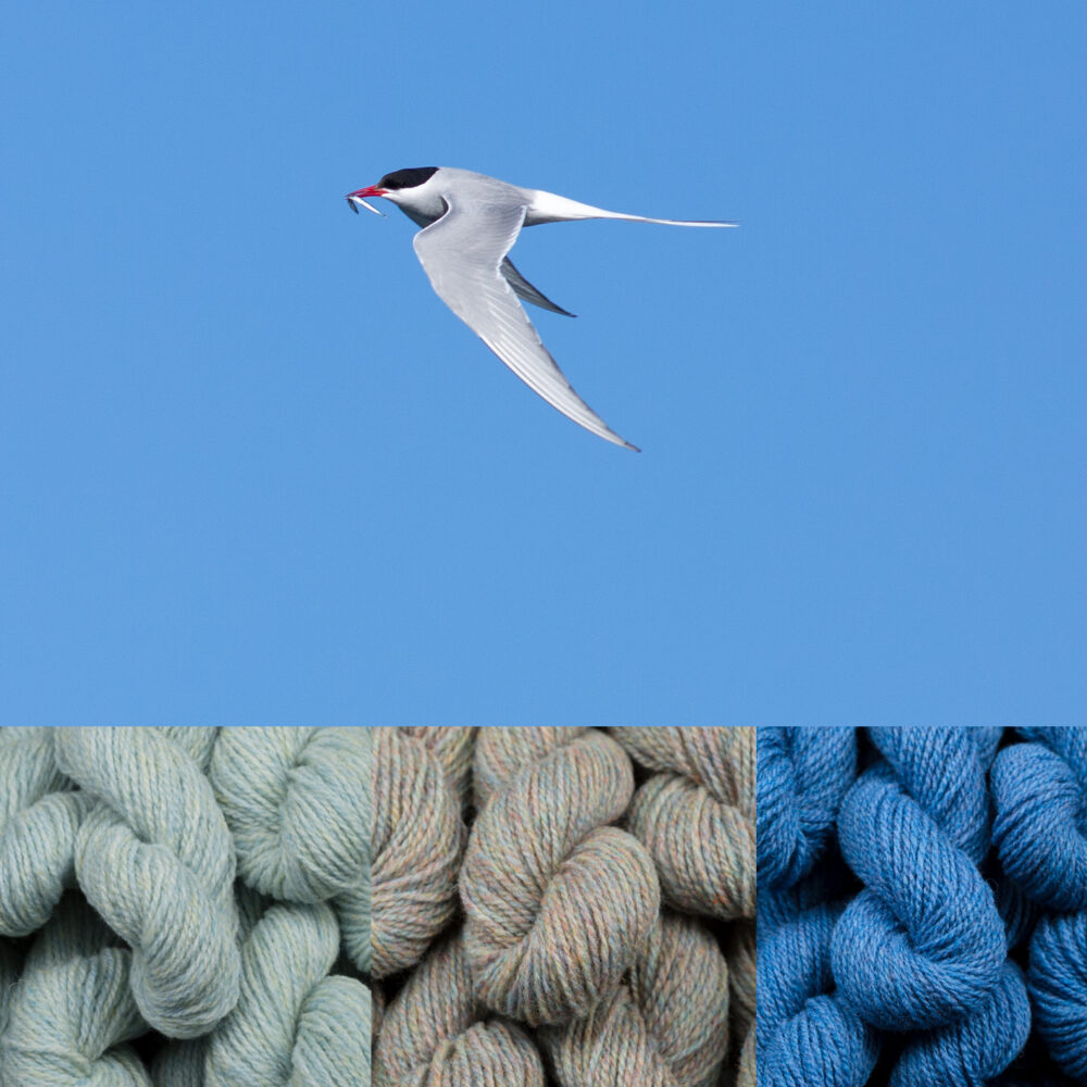 Virtual Yarns: Home of Alice Starmore Yarns And Designs
