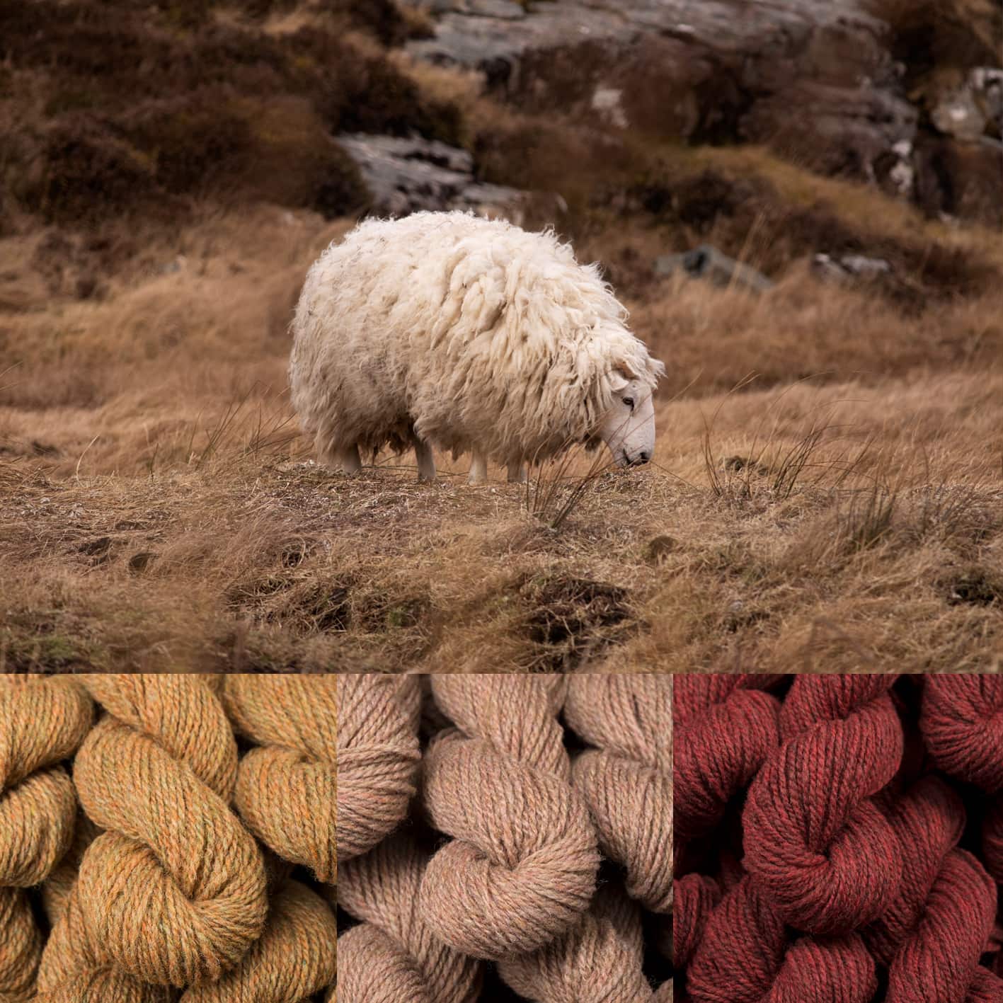 Virtual Yarns: Home of Alice Starmore Yarns And Designs