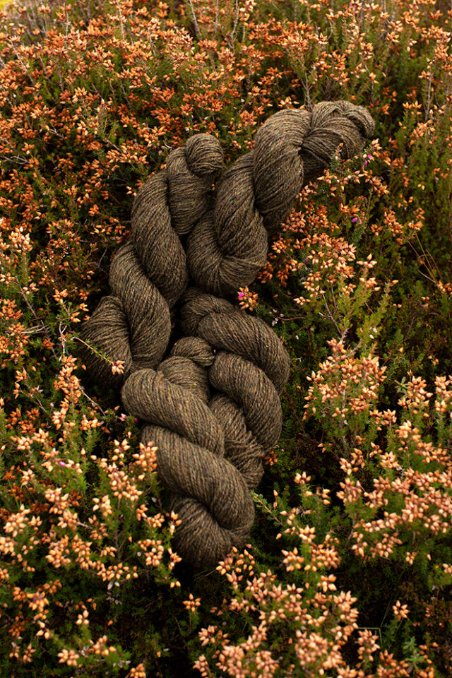 Alice Starmore 2 Ply Hebridean hand knitting yarn in Glen