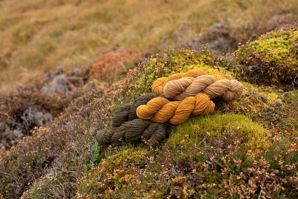 Virtual Yarns - Home of Alice Starmore Yarns and Designs