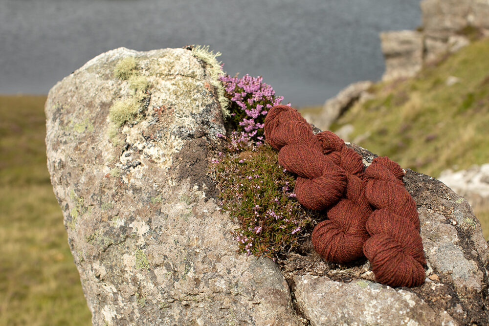 Alice Starmore 2 Ply Hebridean hand knitting yarn in Tormentil