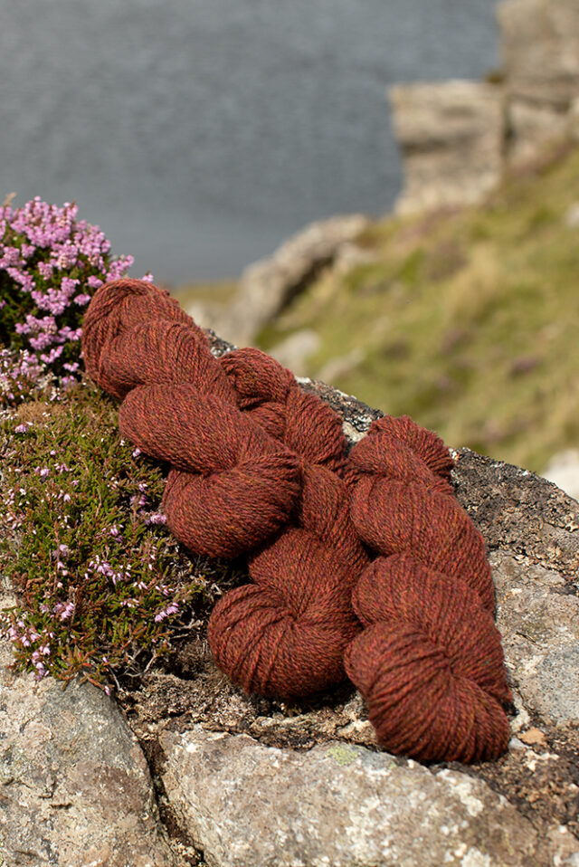 Alice Starmore 2 Ply Hebridean hand knitting yarn in Tormentil