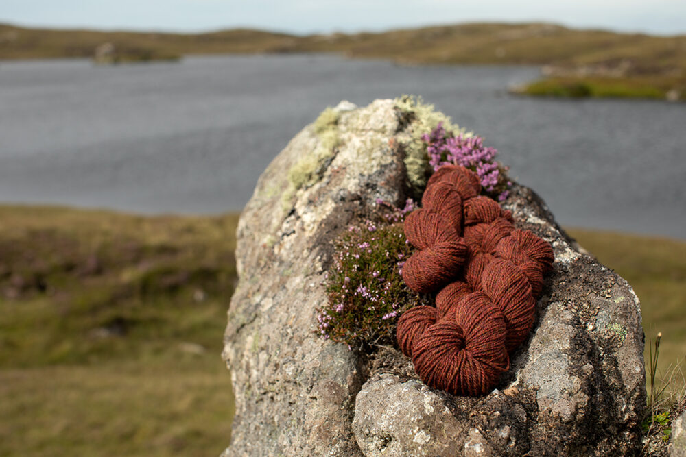 Alice Starmore 2 Ply Hebridean hand knitting yarn in Tormentil
