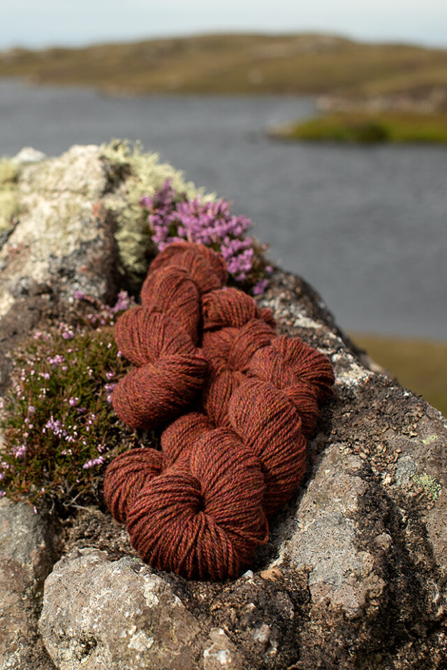 Alice Starmore 2 Ply Hebridean hand knitting yarn in Tormentil