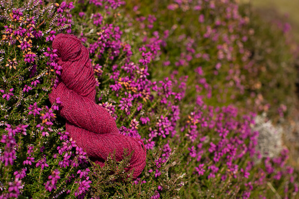 Alice Starmore 2 Ply Hebridean hand knitting yarn in Clover