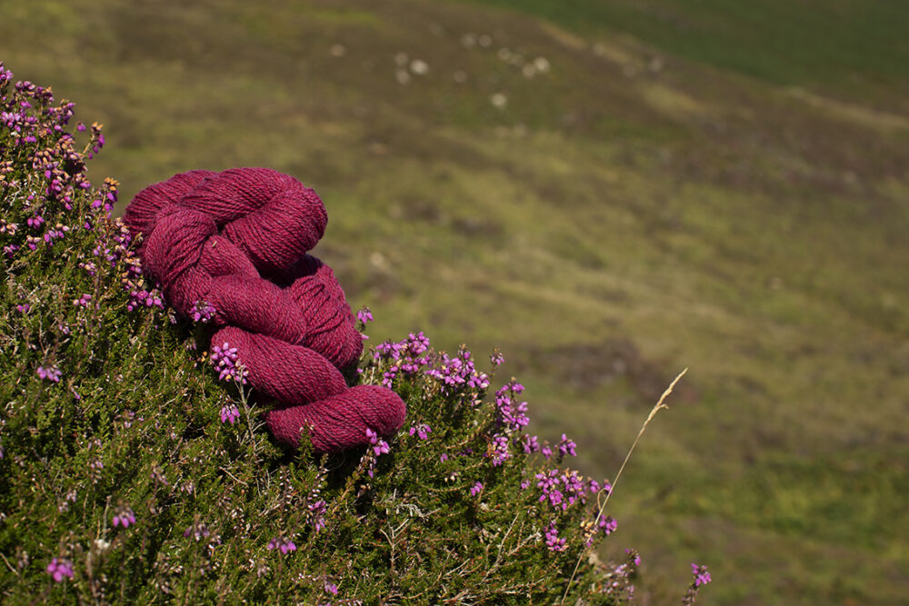 Alice Starmore 2 Ply Hebridean hand knitting yarn in Clover
