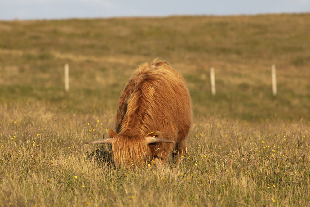 Photography by Jade Starmore