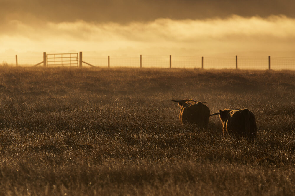 Photography by Jade Starmore