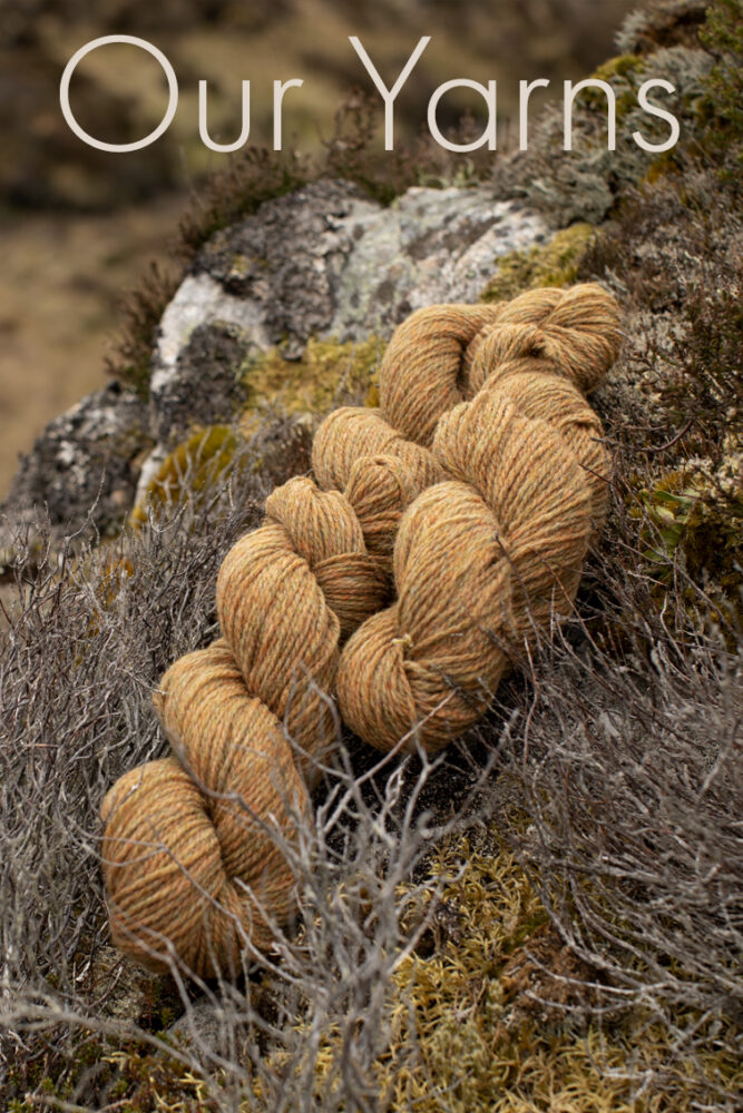 Virtual Yarns - Home of Alice Starmore Yarns and Designs