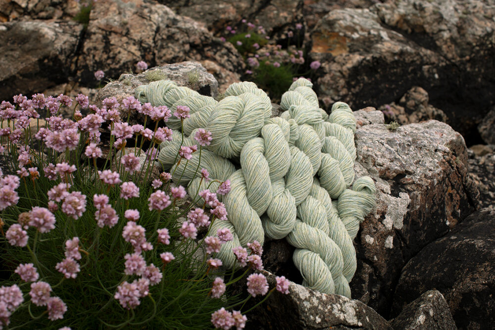 Alice Starmore Hebridean 3 Ply pure new British wool hand knitting Yarn in Solan Goose colour