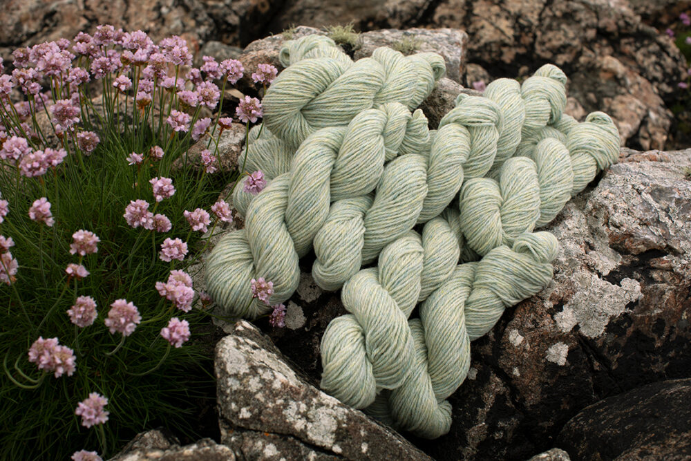 Alice Starmore Hebridean 3 Ply pure new British wool hand knitting Yarn in Solan Goose colour